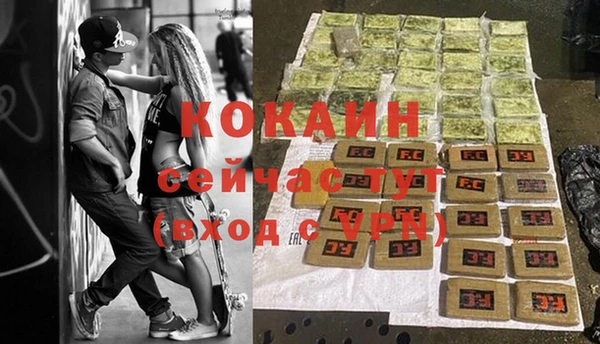 не бодяженный Алексин
