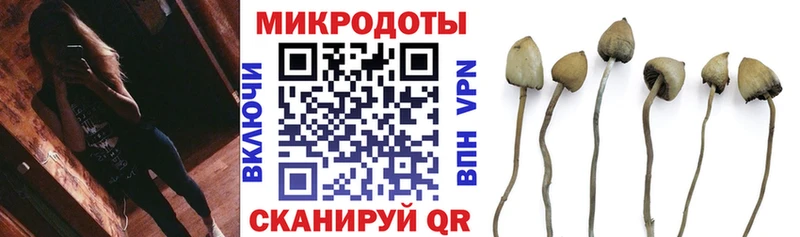 Галлюциногенные грибы Psilocybine cubensis  закладка  Алупка 